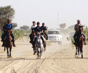   مصر اليوم - فروسية الطائف تقيم حفل سباق الخيل الأول ضمن موسم سباقات المصيف