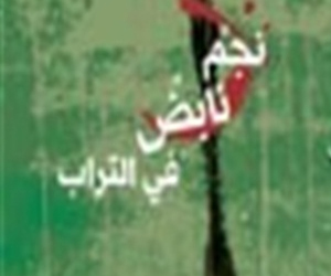   مصر اليوم - صدور المجموعة القصصية نجم نابض في التراب لـ  ماجد سليمان