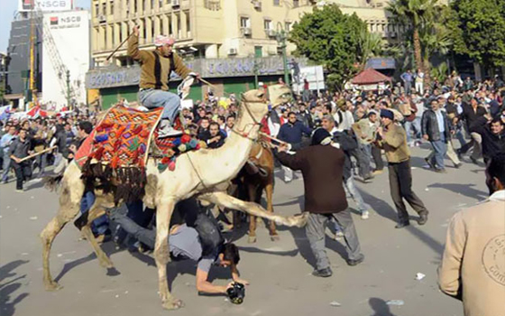   مصر اليوم - قيادي في الوطني المنحل يتهم الإخوان بتدبير موقعة الجمل ويتقدم ببلاغ ضدهم