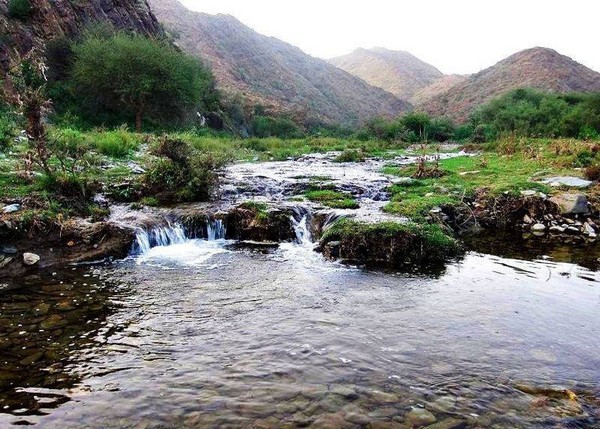   مصر اليوم - المندق تأسر قلوب السياح بجمالها الرباني