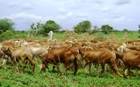   مصر اليوم - السودان والعراق يوقعان عددًا من الاتفاقات