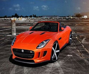   مصر اليوم - جاغوار تختبر سيارتها الجديدة F-Type V8