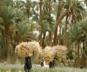   مصر اليوم - وفاة نائب رئيس أوغندا الأسبق مصطفى إدريسي