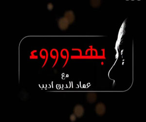   مصر اليوم - محللون سياسيون وخبراء أمنيون ضيوف برنامج بهدوووء