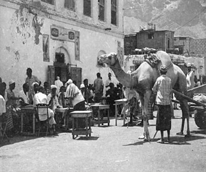   مصر اليوم - مقهى عبده مكرد حكاية نضال على طريق الاستقلال