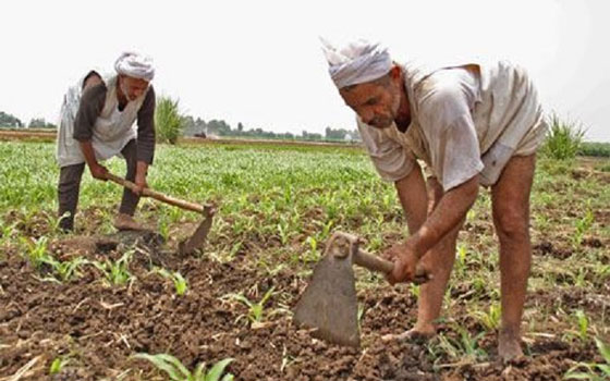   مصر اليوم - جلال يؤكد التطبيق العادل لـضريبة الأطيان وإن تسبب في خفض الحصيلة