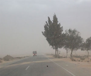   مصر اليوم - سقوط عدد من الأشجار في طريق دمياط - المنصورة الزراعي بسبب الرياح الشديدة