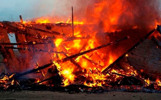   مصر اليوم - نفوق 123 رأس ماشية في حريق بقرية بالوادي الجديد