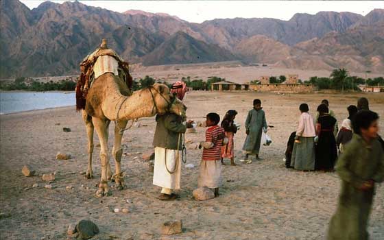   مصر اليوم - تعرّف على عقوبة المتحرش بالمرأة في شبه جزيرة سيناء